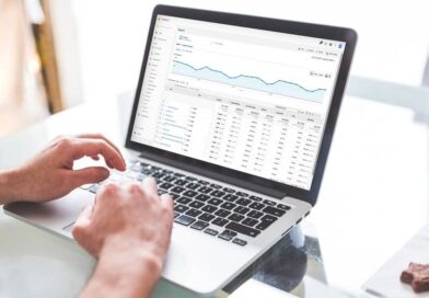 analiza spletnih strani dominatus 2